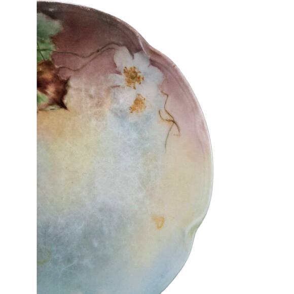 Antique J&C Louise Bavaria 1898-1923 Raspberry Black Berry Fruit Blossom Plate - Picture 6 of 12